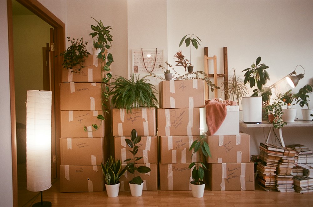 Packed moving boxes in a room ready for move-out cleaning